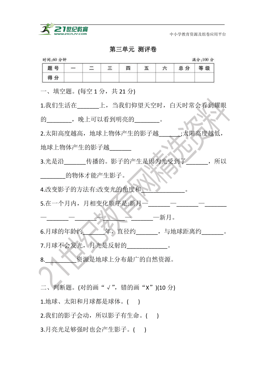 2021教科版三年级科学下册 第三单元 测评卷 (含答案)