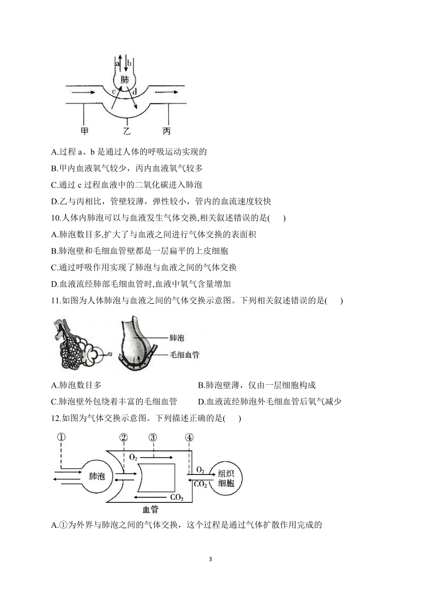 2023届人教版中考生物高频考点专项练习：专题九 考点22 人体的呼吸（B卷）（含解析）