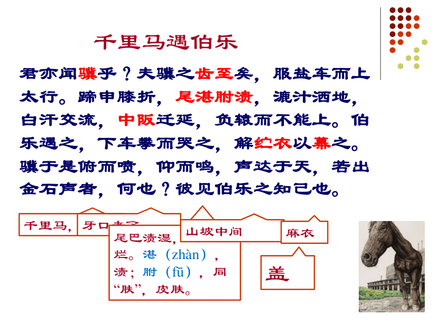 《马说》课件（共42张PPT）