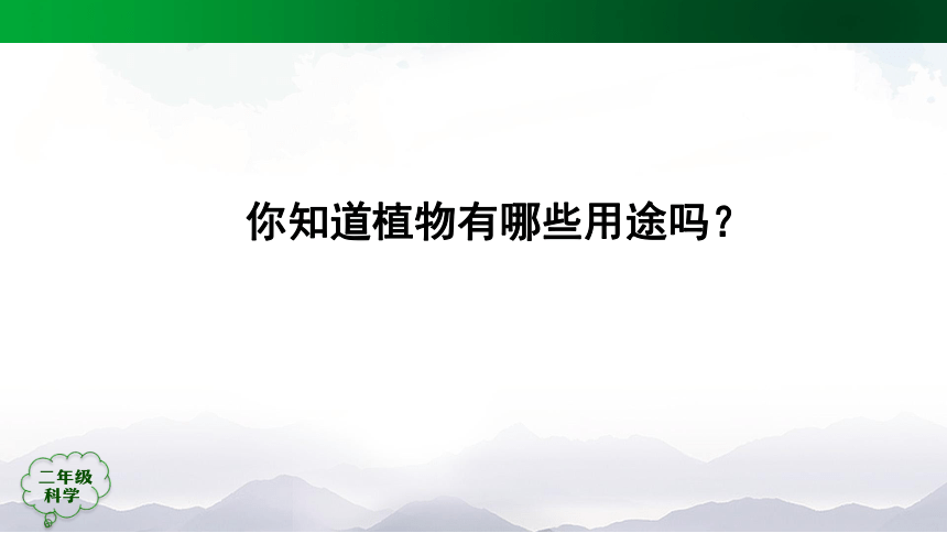 人教鄂教版（2017秋）二年级科学上册1.3 我们离不开植物（ 课件49张ppt)