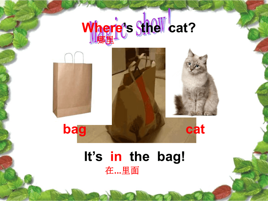 Module 8 Unit 2 Where’s the cat？ 课件(共20张PPT)