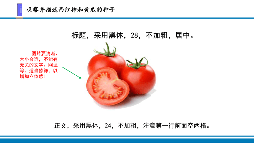 14.动物的繁殖 课件（10张PPT）