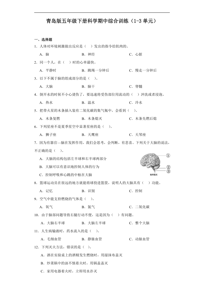 青岛版（六三制2017秋）五年级下册科学期中综合训练（1-3单元）（含答案）