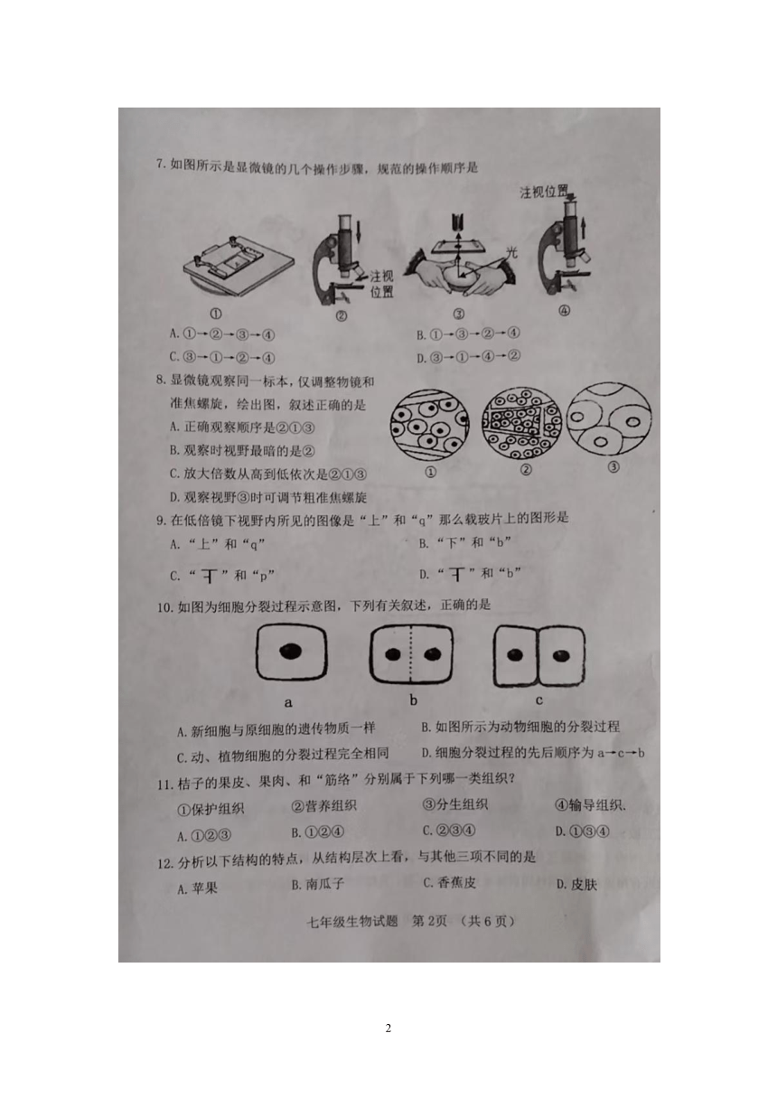 山东省东明县2022-2023学年七年级生物上学期期中试题（图片版 含答案）