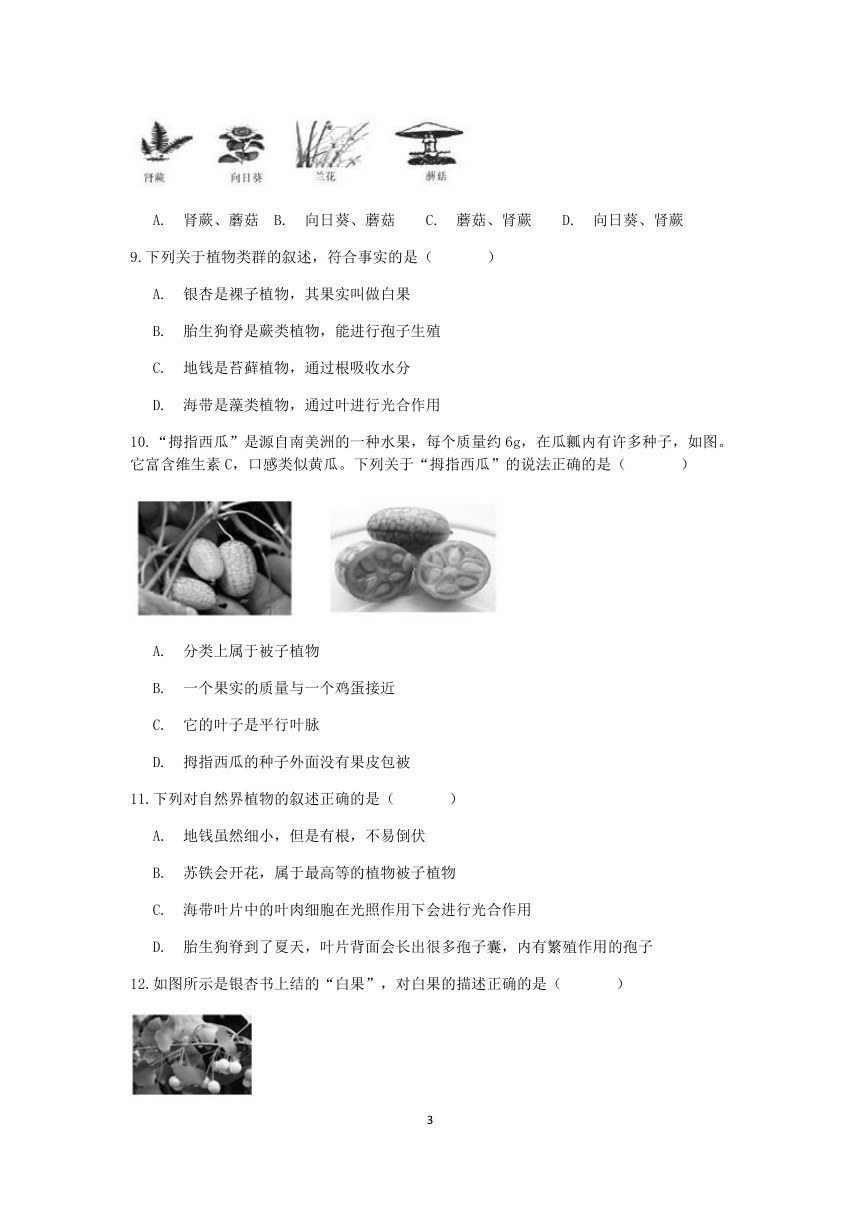 浙教版2022-2023学年上学期七年级科学“期中冲刺”核心考点训练（九）：常见的植物【word，含答案】