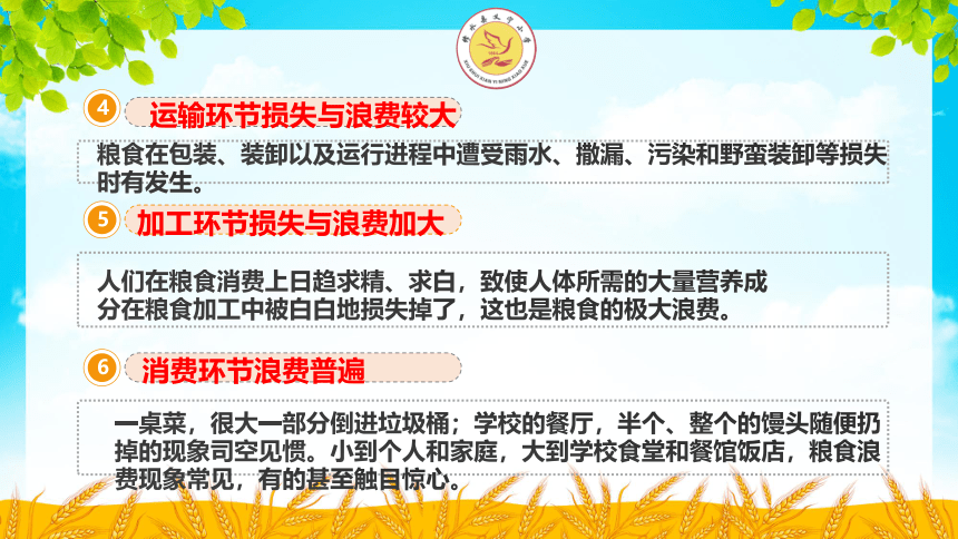 节约粮食 从我做起 主题班会课件（22张幻灯片）+内嵌视频