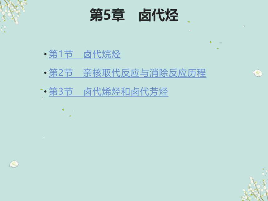 第5章  卤代烃 课件(共54张PPT)《有机化学》同步教学（北京理工出版社）