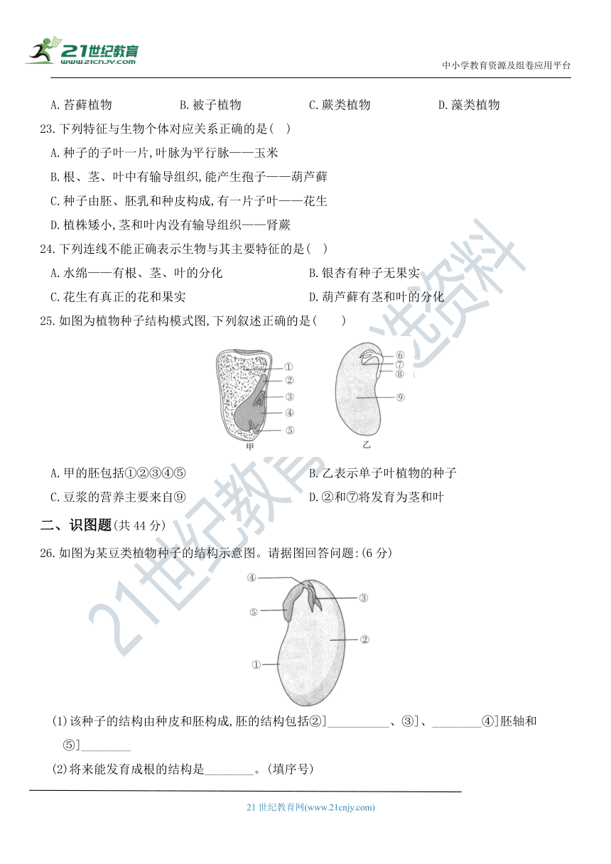 第三单元   第一章  生物圈中有哪些绿色植物 章节测评卷（含部分解析）