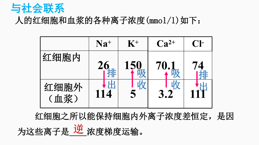 4.2主动运输与胞吞、胞吐（1.5课时）(课件共19张PPT)