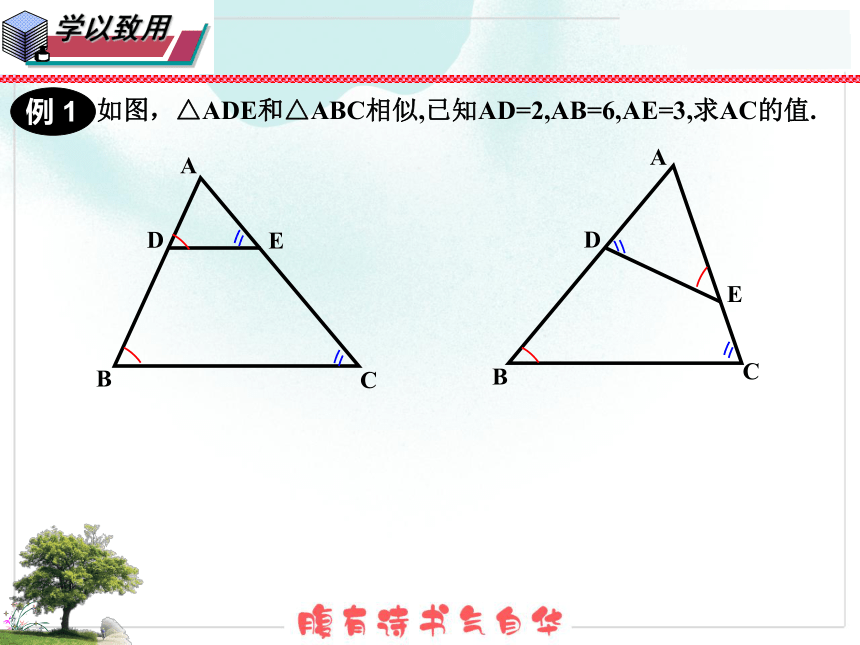 2021-2022学年华东师大版九年级数学上册23.3.1相似三角形课件(共17张PPT)
