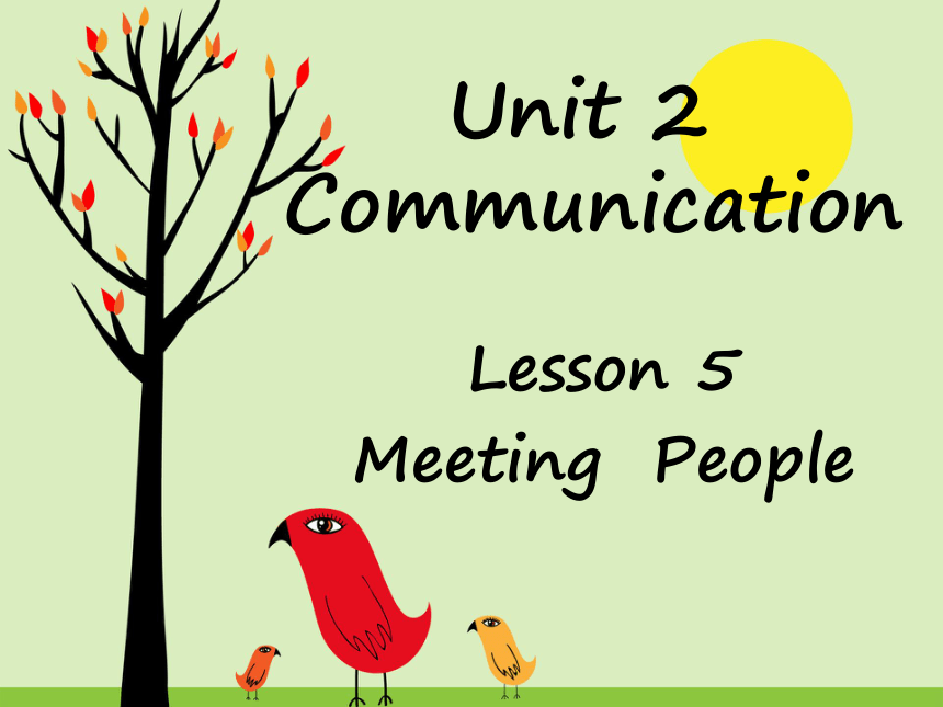 北师大版英语八年级下册 Unit 2 Lesson 5 Meeting People 课件（30张PPT）