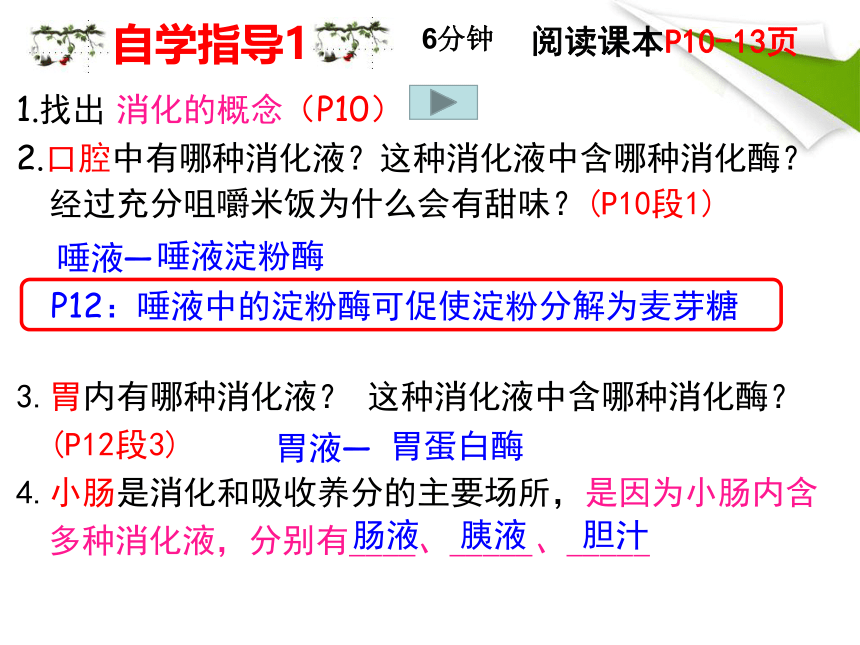 4.8.2 食物的消化和营养物质的吸收课件(共25张PPT)2022--2023学年北师大版生物七年级下册