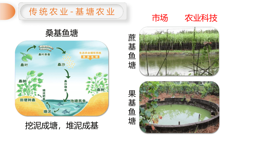 2.3 产业结构转型地区的发展 — 以珠三角为例课件（18张）