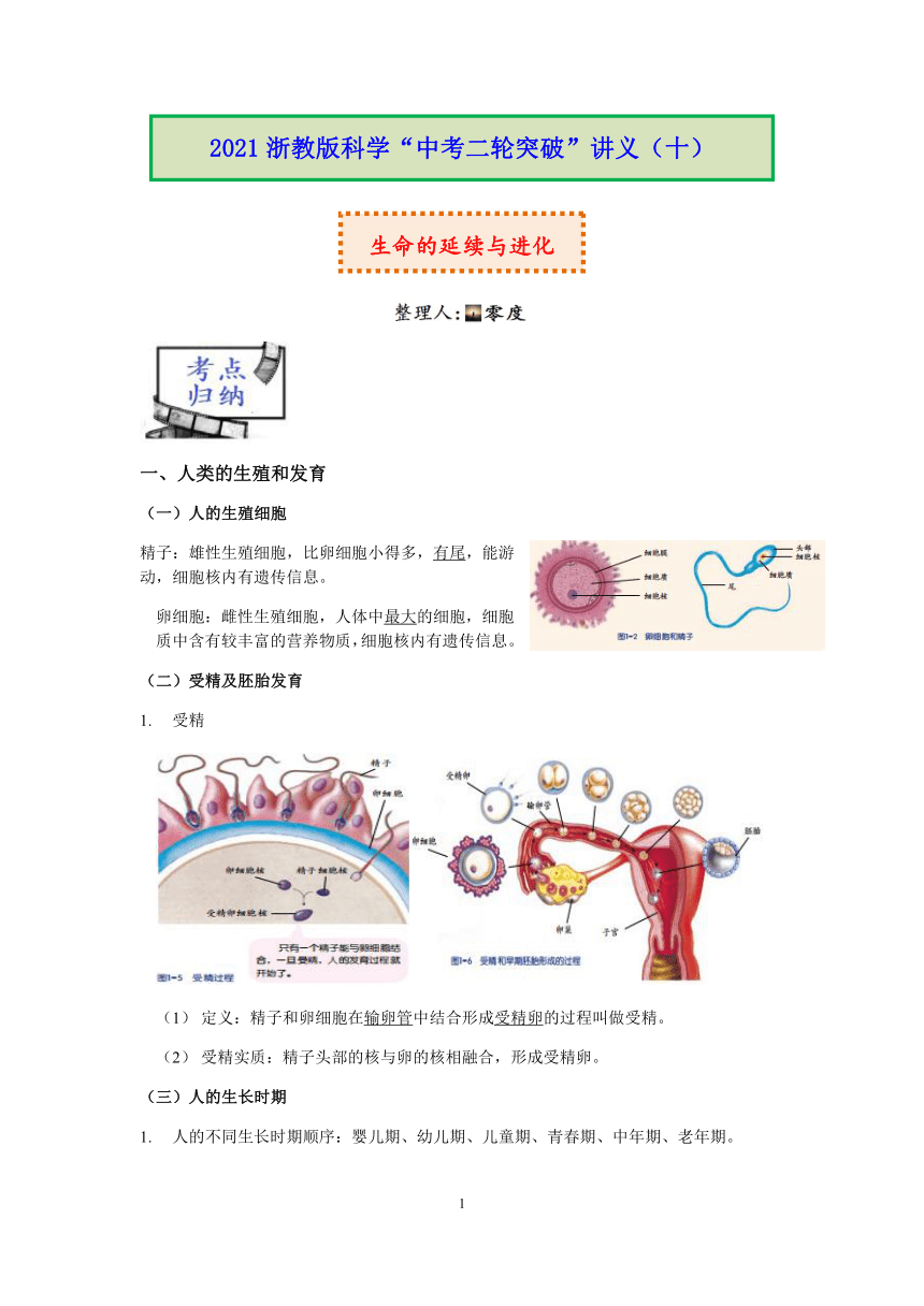 2021浙教版科学“中考二轮专题突破”讲义（十）：生命的延续与进化【word，含答案】