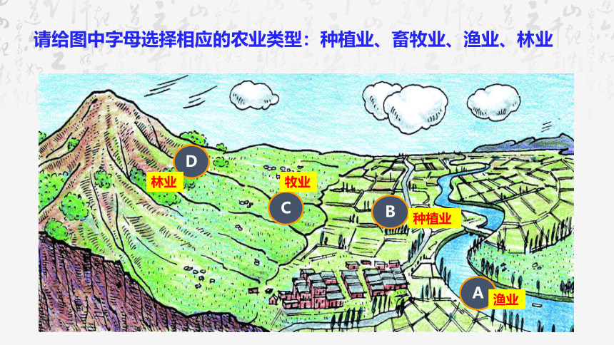 第四章第一节农业 课件2021-2022学年湘教版地理八年级上册（共43张PPT）