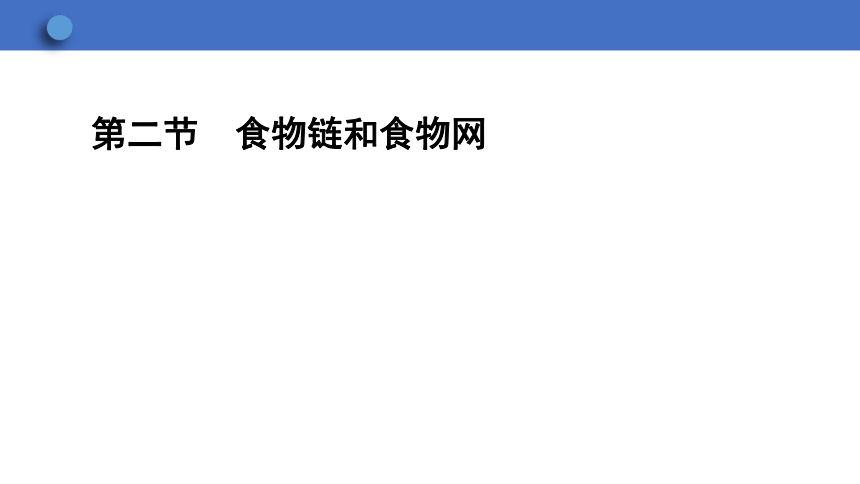 7.2.2 食物链和食物网课件(共24张PPT)2023-2024学年初中生物冀少版八年级下册