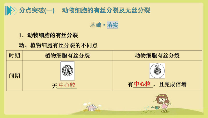 6-1第2课时  动物细胞的有丝分裂、无丝分裂和观察根尖分生区组织细胞的有丝分裂  生物人教版必修1(共22张PPT)