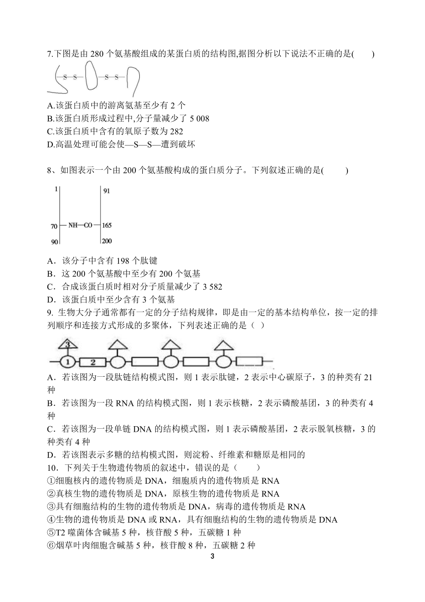 河南省顶级中学2021-2022学年高一上学期12月联考生物试题（PDF版含答案）