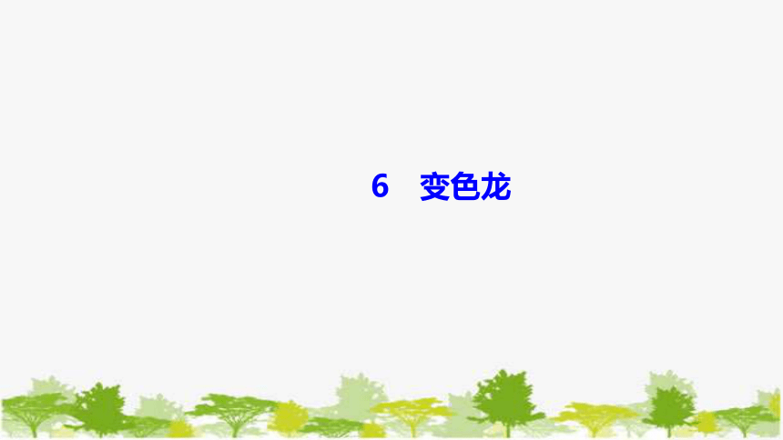 6　变色龙 课件（共22张PPT）