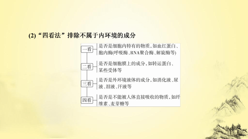 新人教生物二轮复习课件9 人体内环境稳态与免疫调节(共52张PPT)