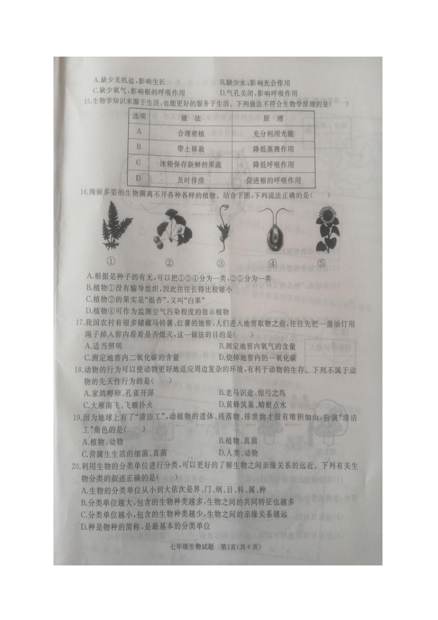 【首发】山东省济宁市鱼台县2021-2022学年度第一学期期末教学质量监测七年级生物试题（图片版含答案）