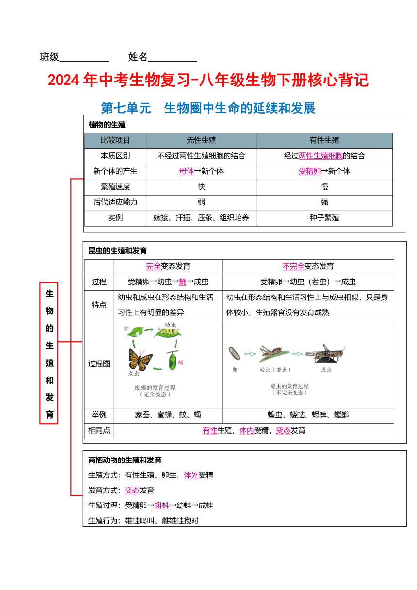 2024年中考生物复习-八年级生物下册核心背记（表格式）