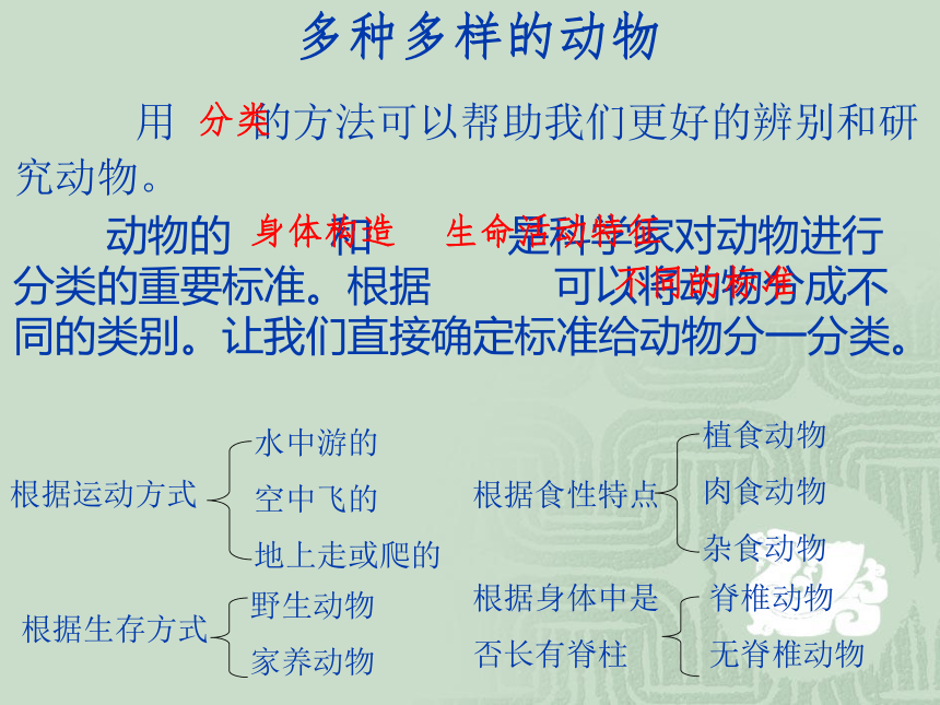 教科版六上科学 4.2校园生物分布图 （课件19张ppt）