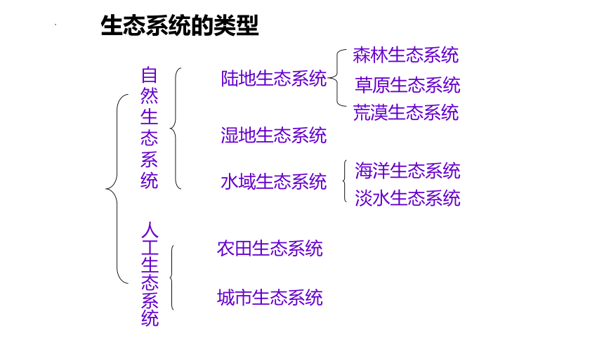 2.3.1  多种多样的生态系统课件(共34张PPT)2022-2023学年苏科版生物七年级上册