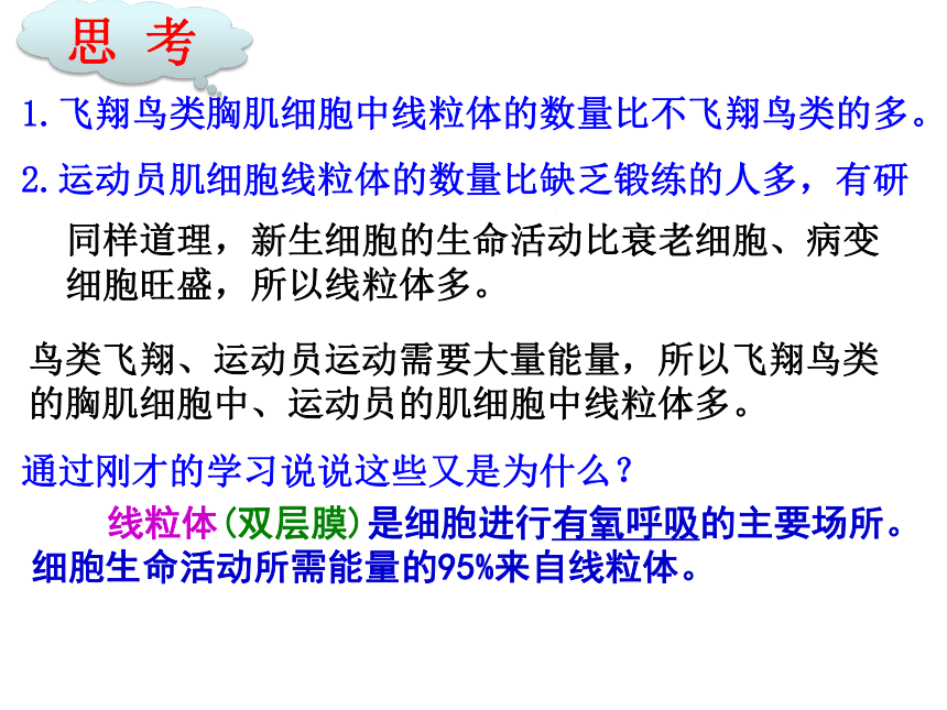 人教版生物高中必修一3.2-细胞器——系统内的分工合作(58张PPT)