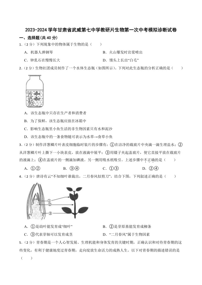 2024年甘肃省武威第七中学教研联片中考模拟一模生物试题（含答案）