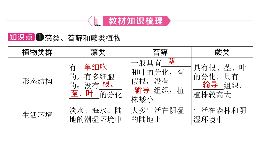 3.2被子植物的一生课件(共47张PPT)