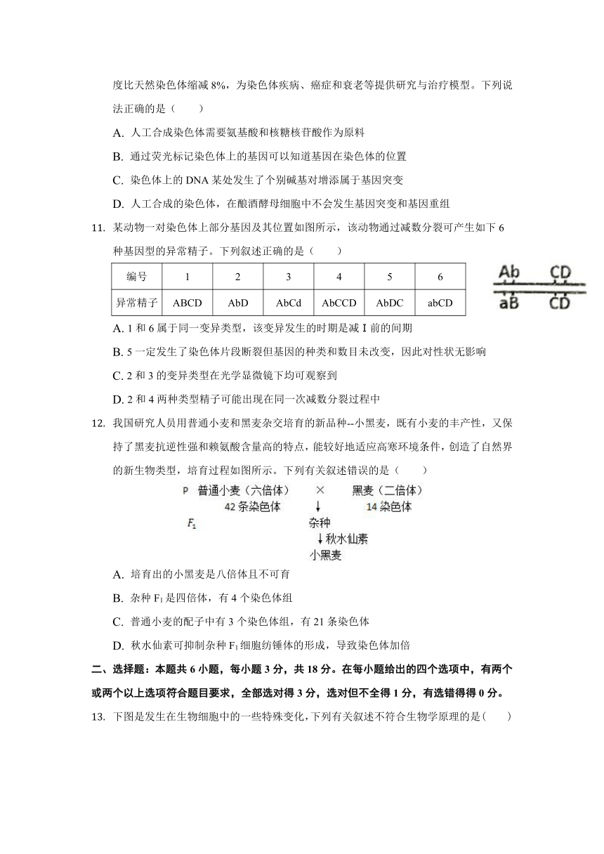 河北省唐山市曹妃甸一高2020-2021学年高一下学期六月月考生物试卷 Word版含答案