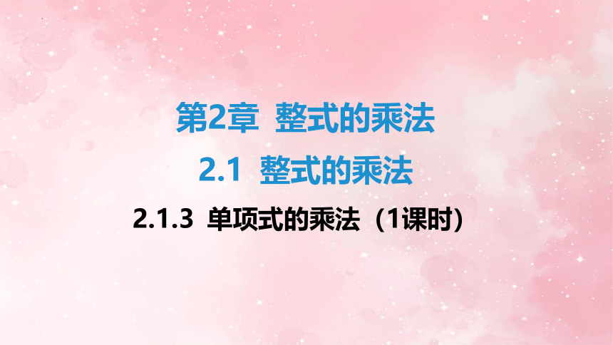 2.1.3 单项式的乘法（1课时）同步练习 习题课件(共20张PPT)-2023~2024学年湘教版七年级数学下册