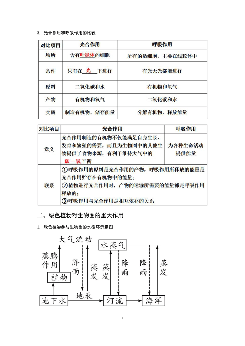 【备考2023】浙教版科学中考第二轮复习讲义第27讲：植物的三大生理作用【word，含答案】