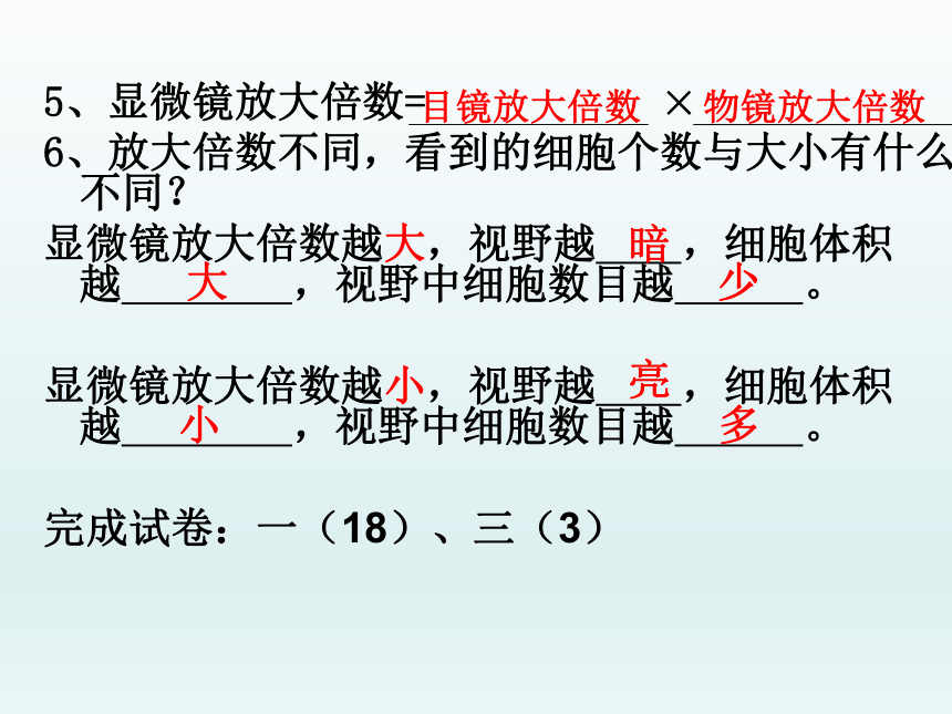 人教版七年级生物上册第二单元生物体的结构层次期中复习课件(共19张PPT)