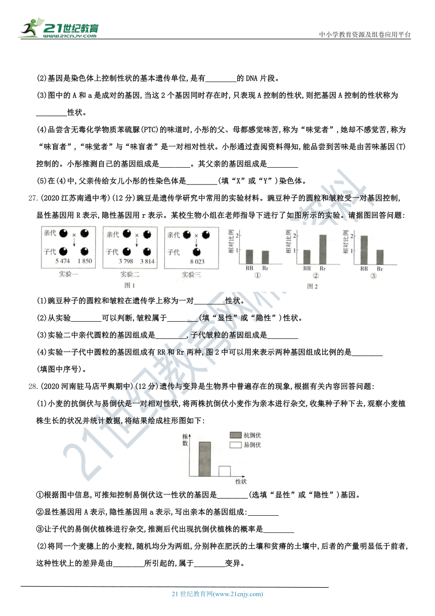 人教版7.2 生物的遗传与变异 综合测试（含解析）