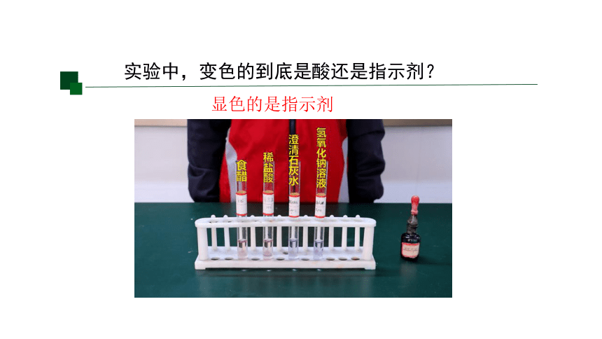 1.2 物质的酸碱性 第二课时（课件 14张PPT)