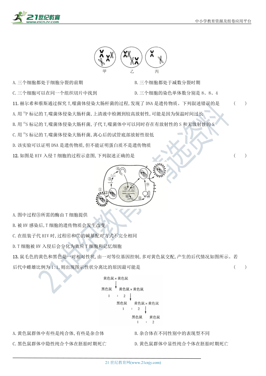 2021年全国高考前全方位强化集训  生物卷●第二套 （含解析）