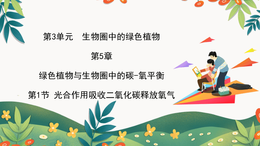 3.5.1光合作用吸收二氧化碳释放氧气课件(共45张PPT) 2022-2023学年人教版生物七年级上册