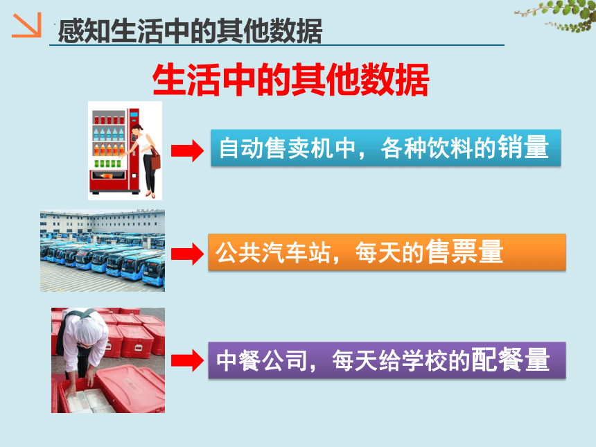 第三单元 表格数据处理 课件(共67张PPT，6课时)  2022—2023学年滇人版（2016）初中信息技术七年级上册