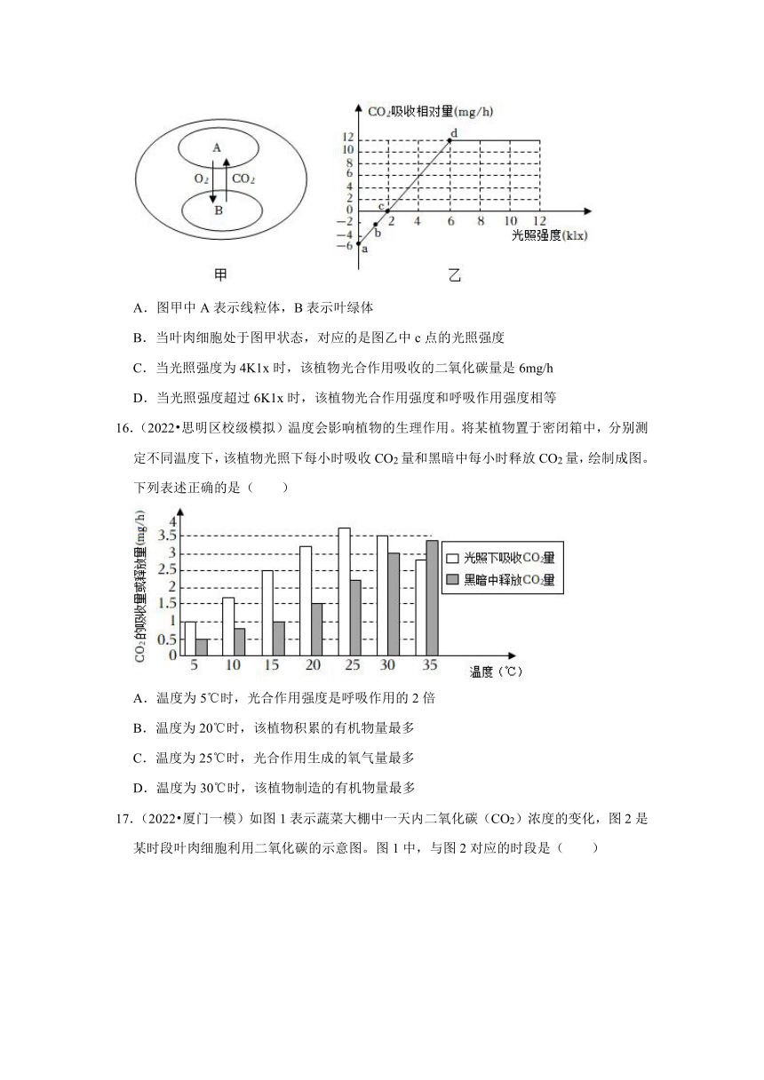 中考专题训练——4植物的光合作用与呼吸作用——2023年福建省中考生物（含解析）