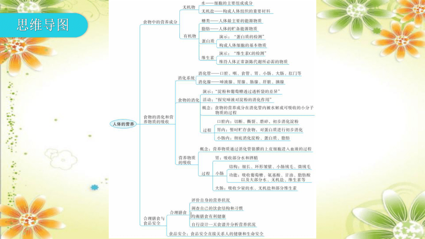 北师大版七年级生物下册 第8章 人体的营养 章节总结习题课件(共30张PPT)