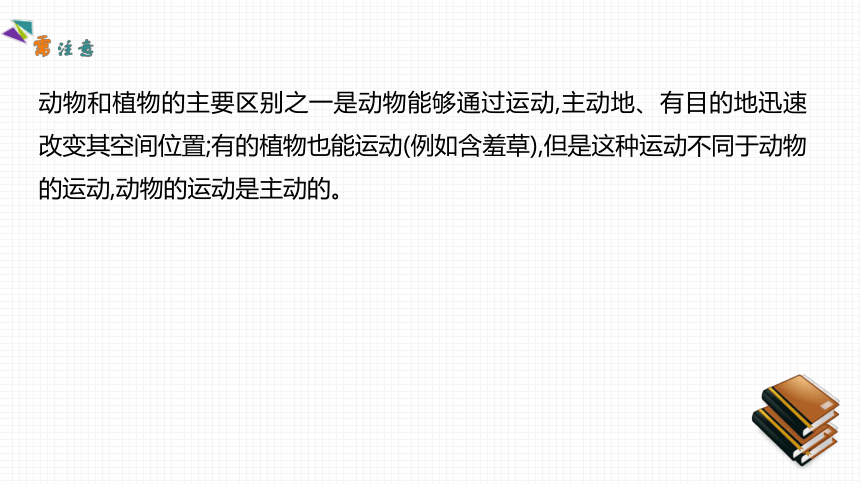 第十七章   动物的运动  素养提升课件(共20张PPT)