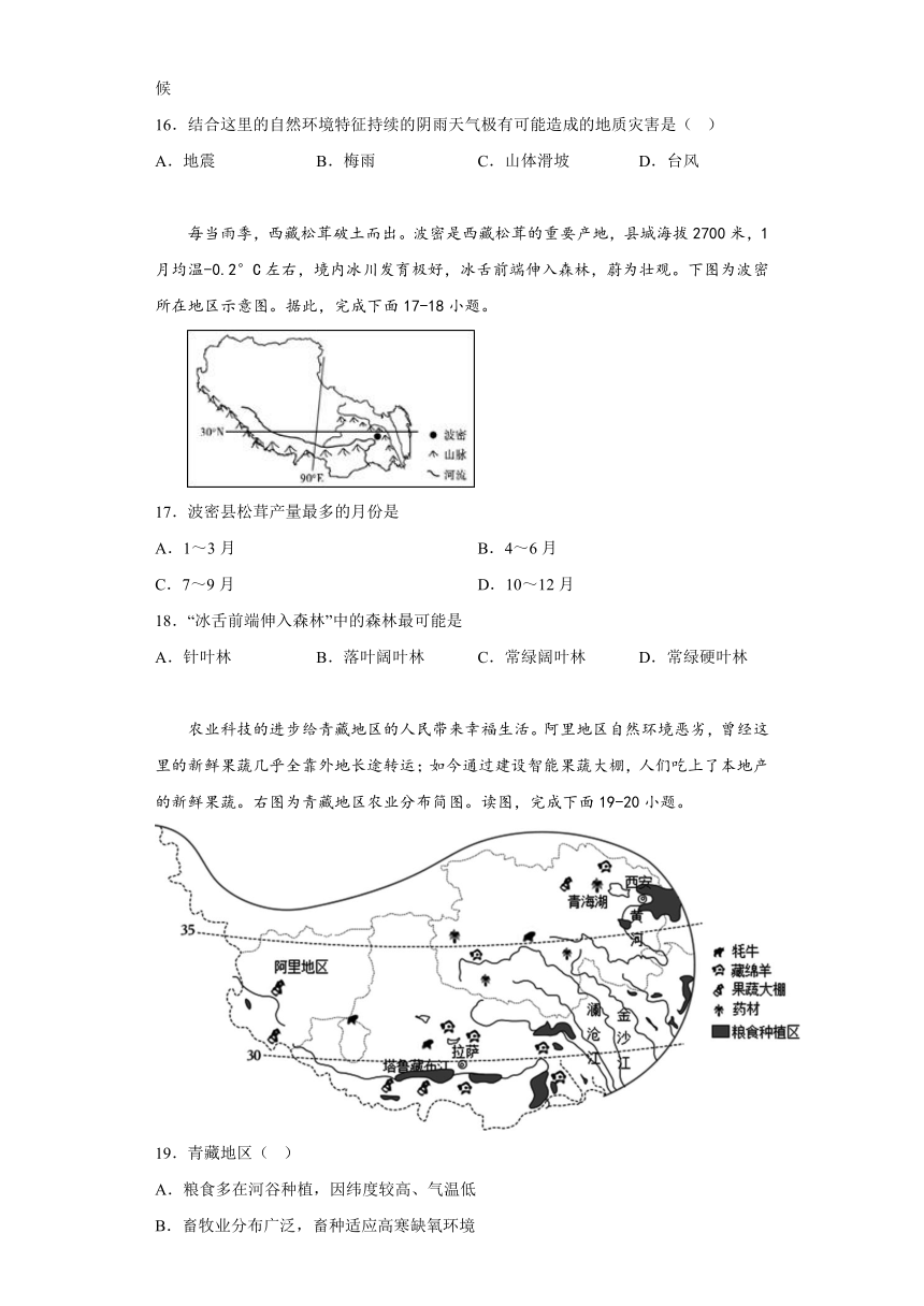 第九章青藏地区单元练习（含解析）人教版地理八年级下册