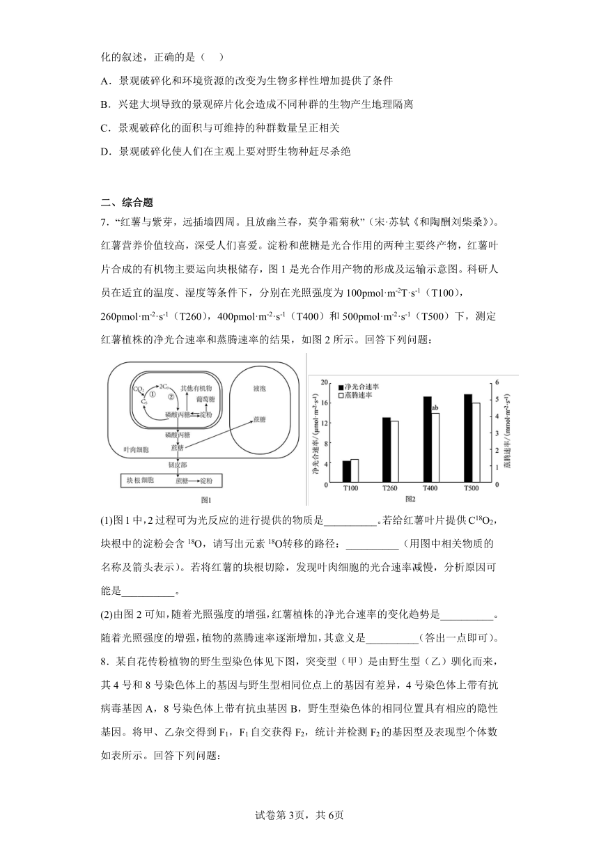 2023届四川省眉山北外附属东坡外国语学校高三下学期三模理综试题（含答案）