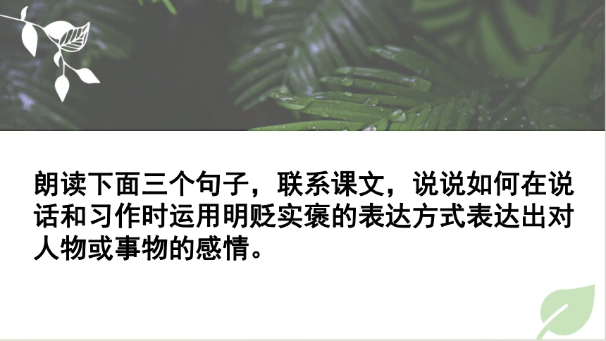 统编版语文四年级下册  语文园地四 第一课时 课件(共24张PPT)