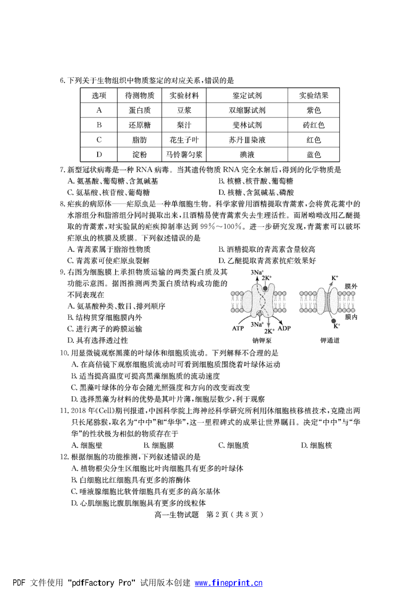 山东省临沂市兰陵县2021-2022学年高一上学期期中考试生物试题（PDF版含答案）