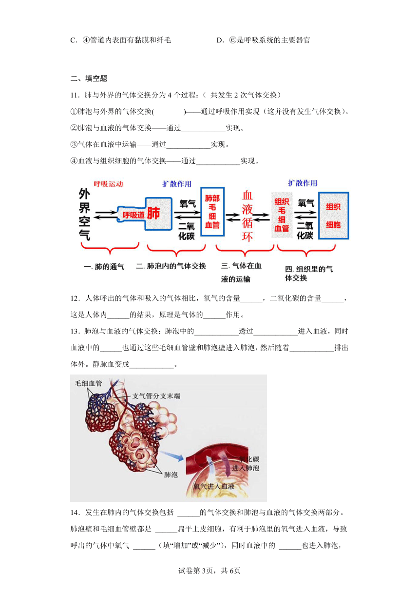 第10章 人体的能量供应 章节练习 （含解析）北师大版七年级下册生物