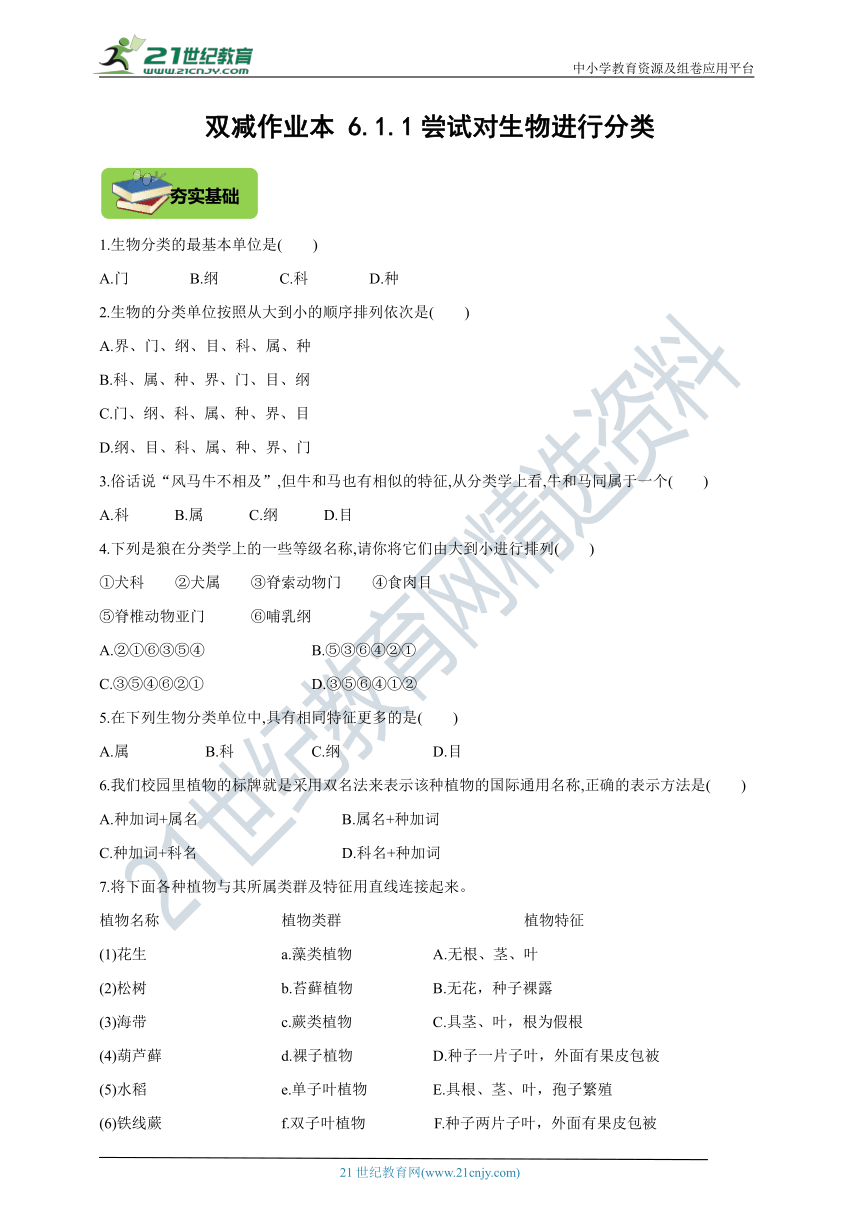 【双减作业本】人教版生物八年级上册  6.1.1尝试对生物进行分类（含解析）