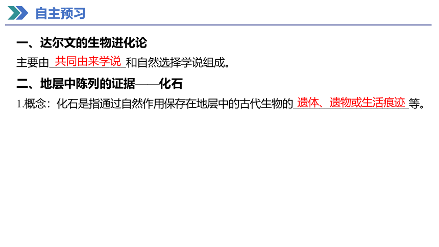 6.1 生物有共同祖先的证据 课件(共27张PPT) 2023-2024学年高一生物人教版（2019）必修第二册